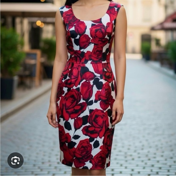 Joseph Ribkoff Dress - Picture 1 of 2